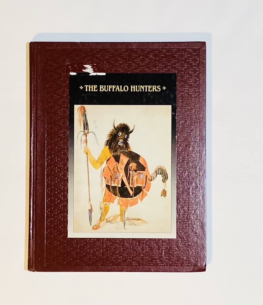 The Buffalo Hunters (American Indians) Books