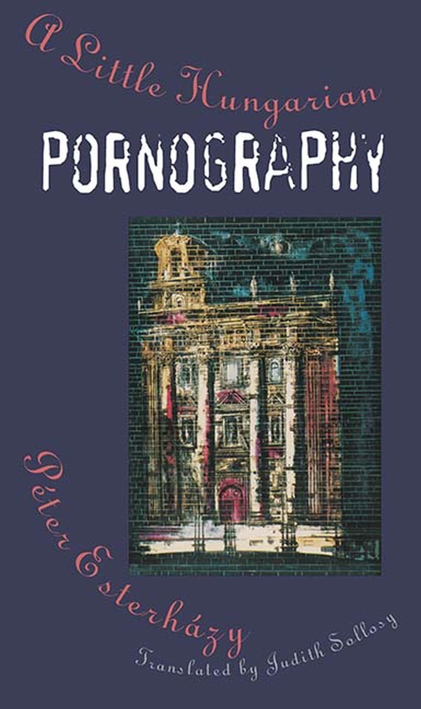 A Little Hungarian Pornography book