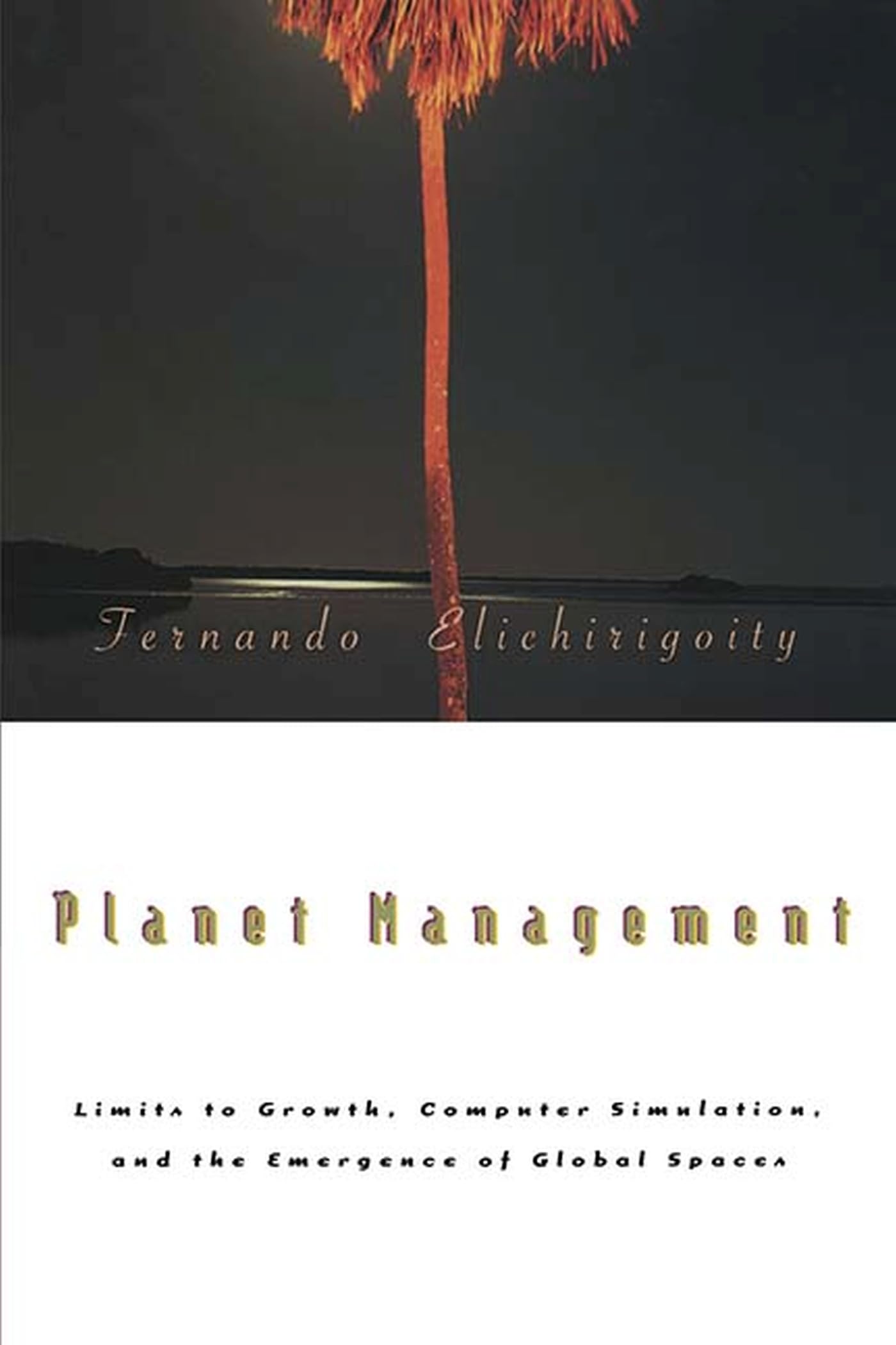 Planet Management: Limits to Growth, Computer Simulation and the Emergence of Global Spaces (Media Topographies) Social Sciences