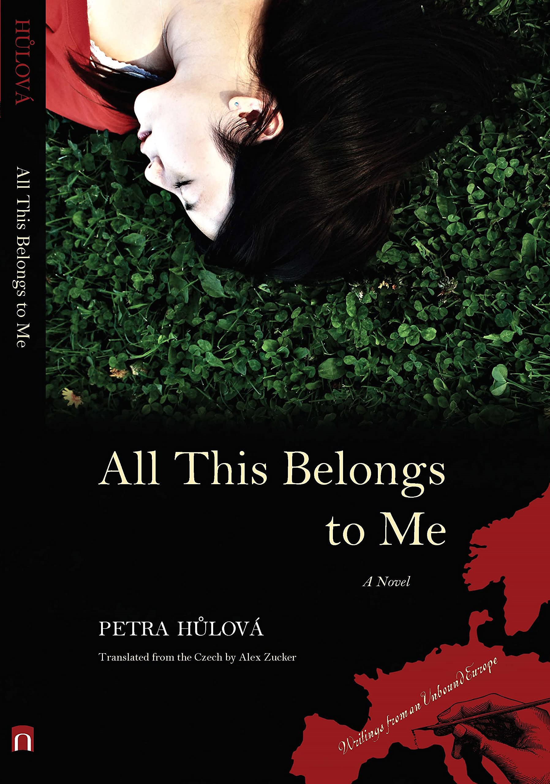 All This Belongs to Me book