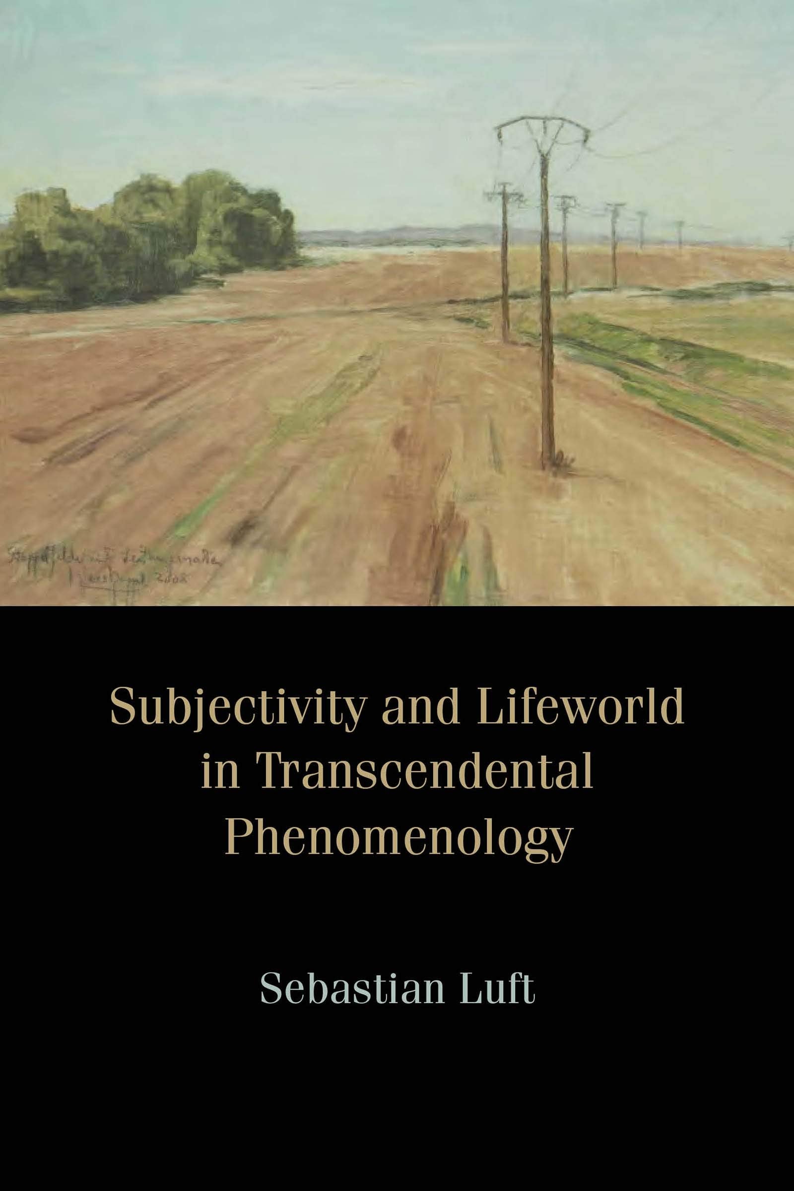 Subjectivity and Lifeworld in Transcendental Phenomenology Philosophy