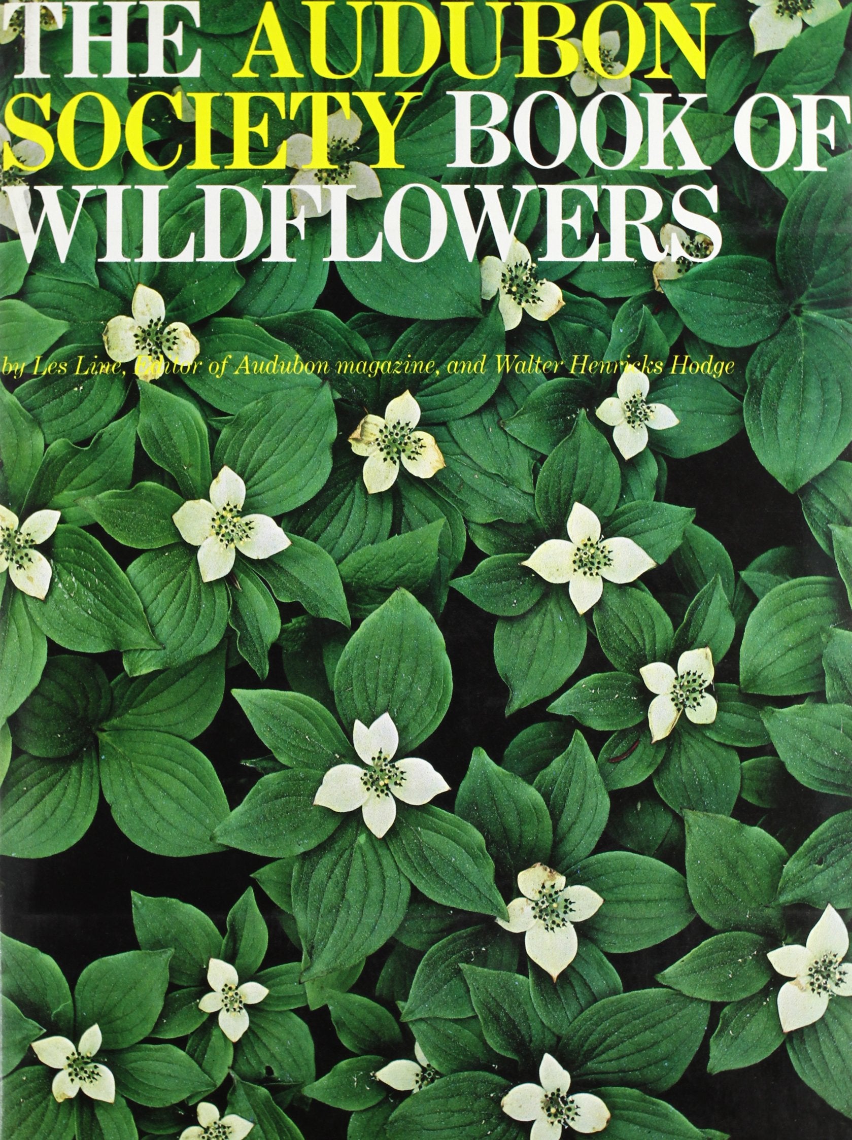 The Audubon Society Book of the Wildflowers of the World Mathematics