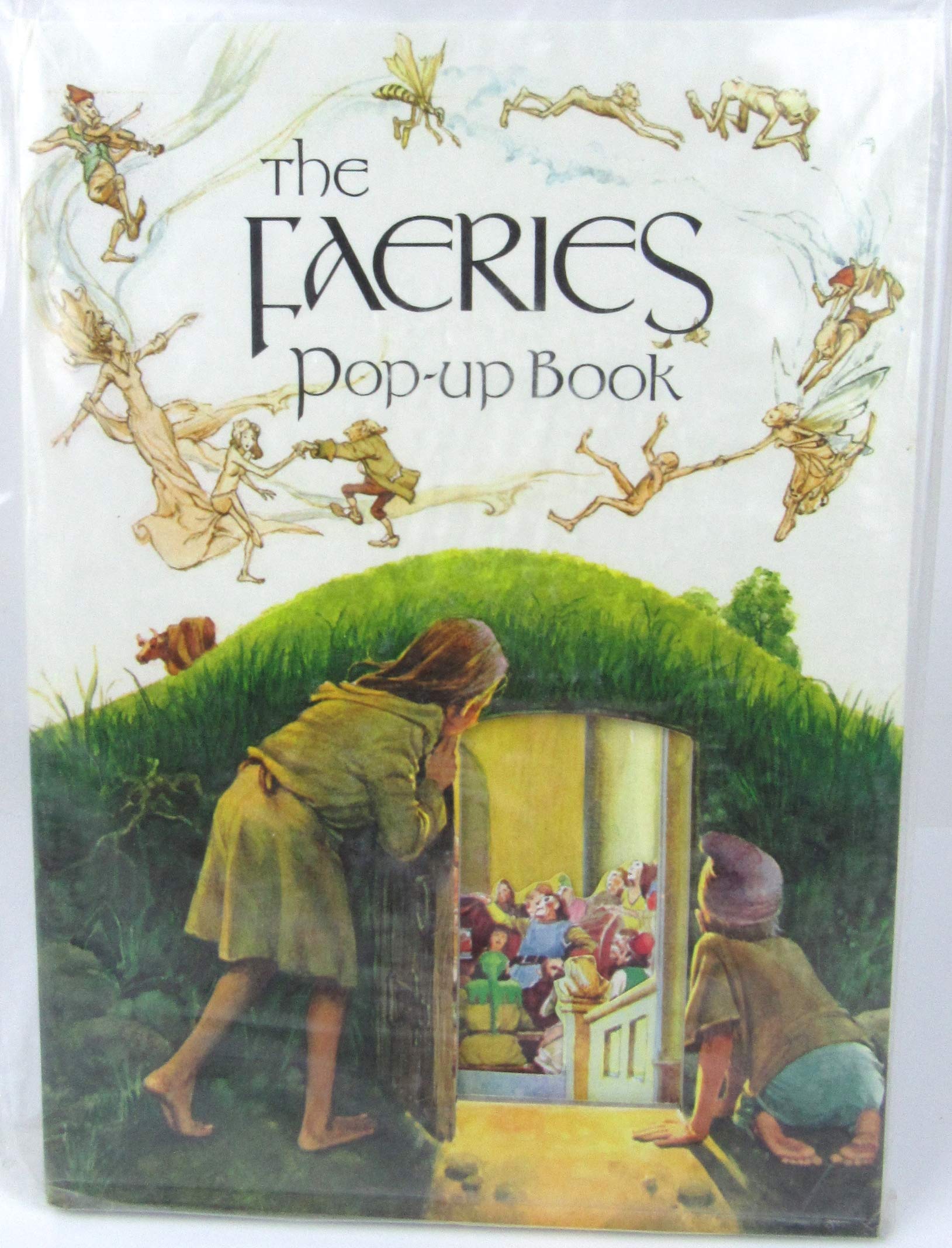 The Faeries Pop-Up Book Books
