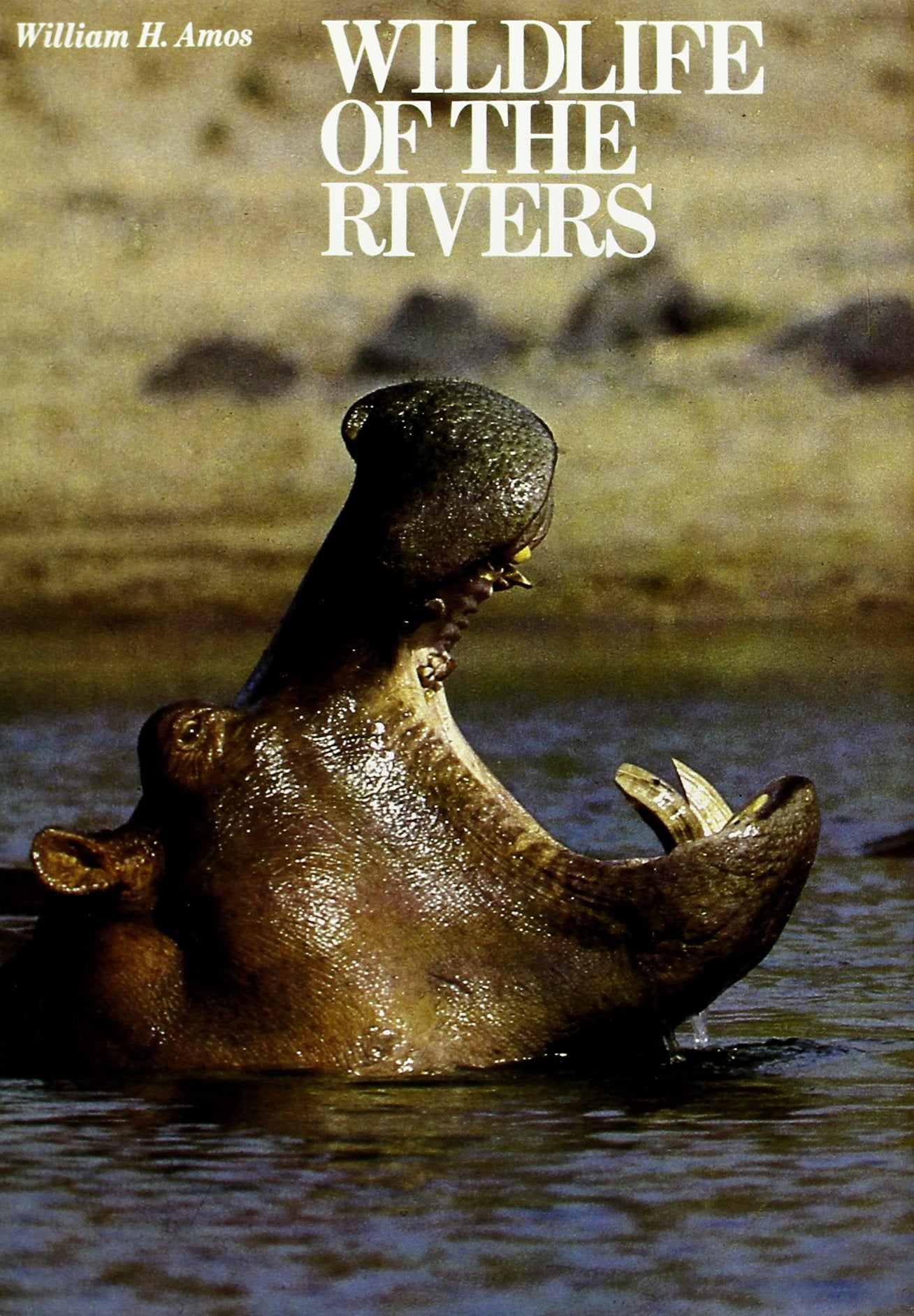 Wildlife of the Rivers Business & Technology