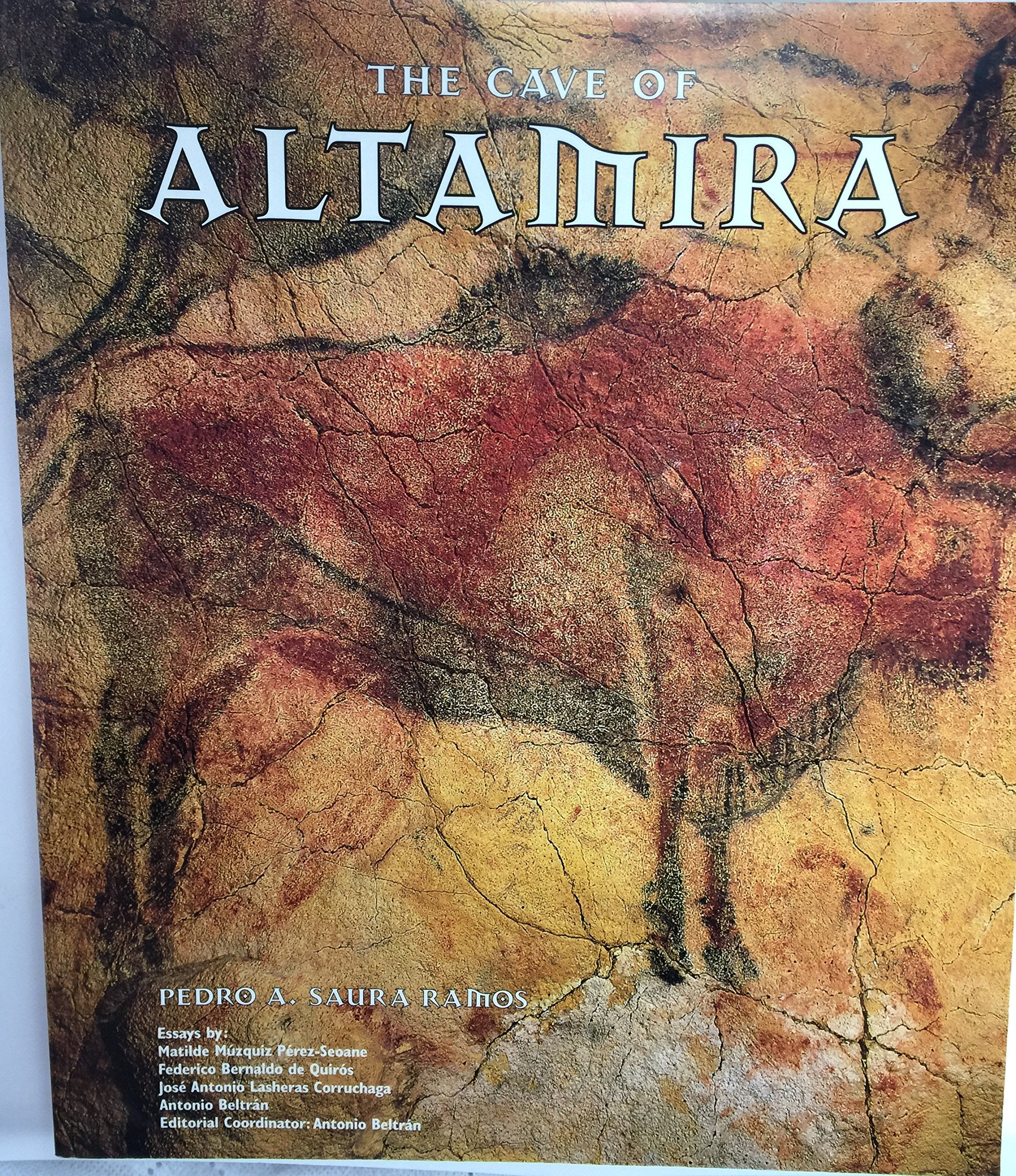 Cave of Altamira Social Sciences
