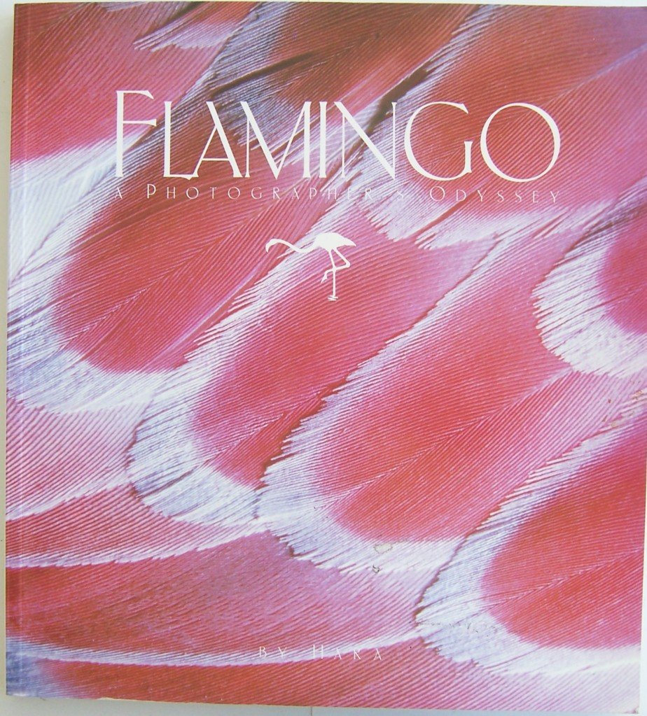 Flamingo: A Photographer's Odyssey Mathematics