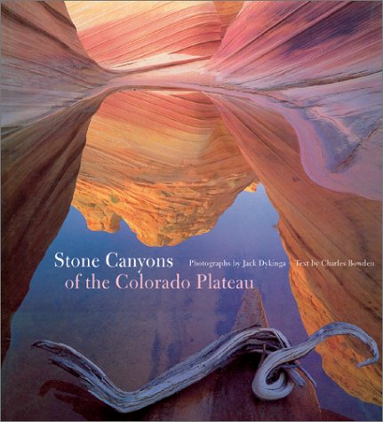 Stone Canyons of the Colorado Plateau Mathematics