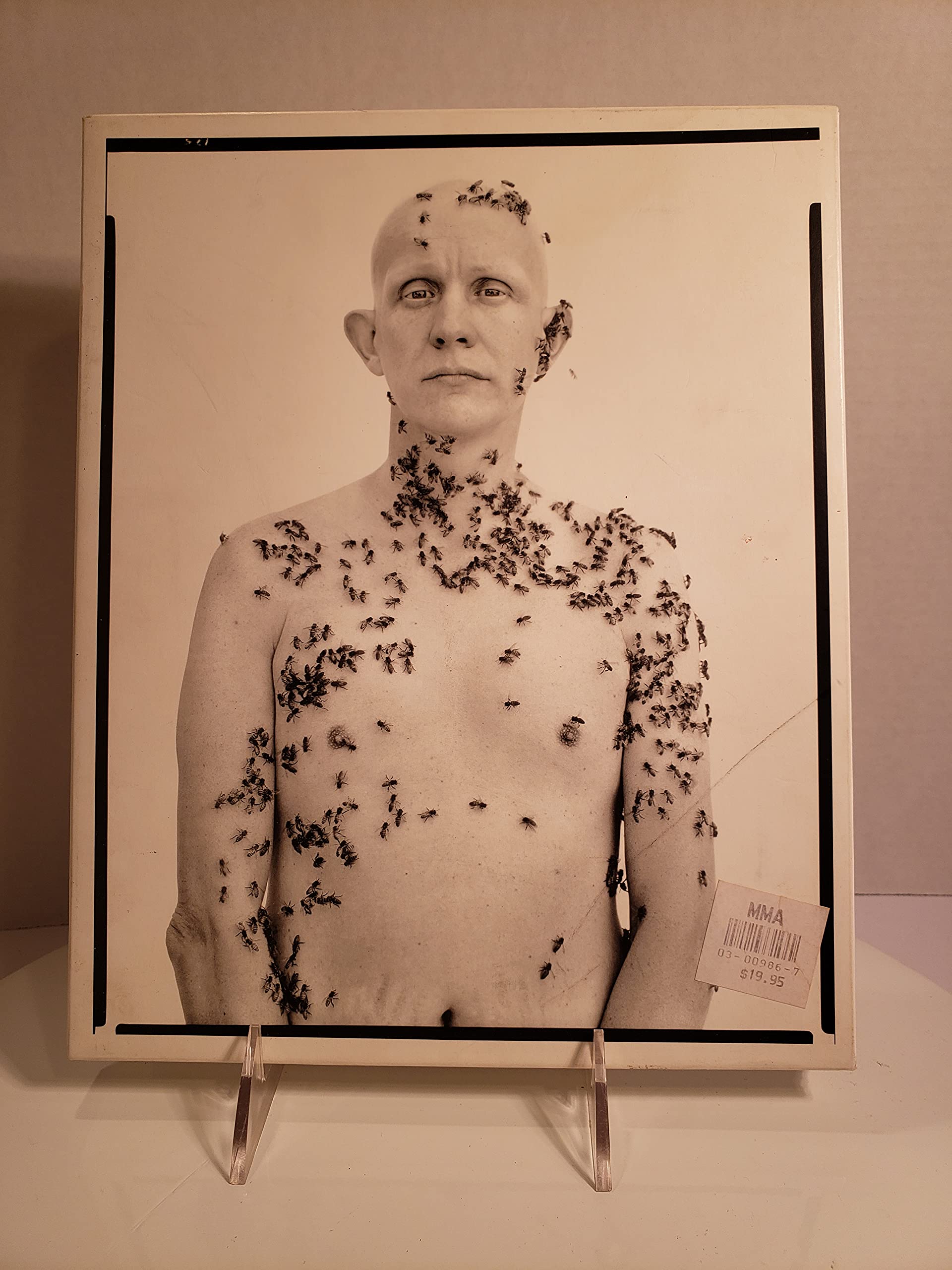Richard Avedon Portraits Travel Books