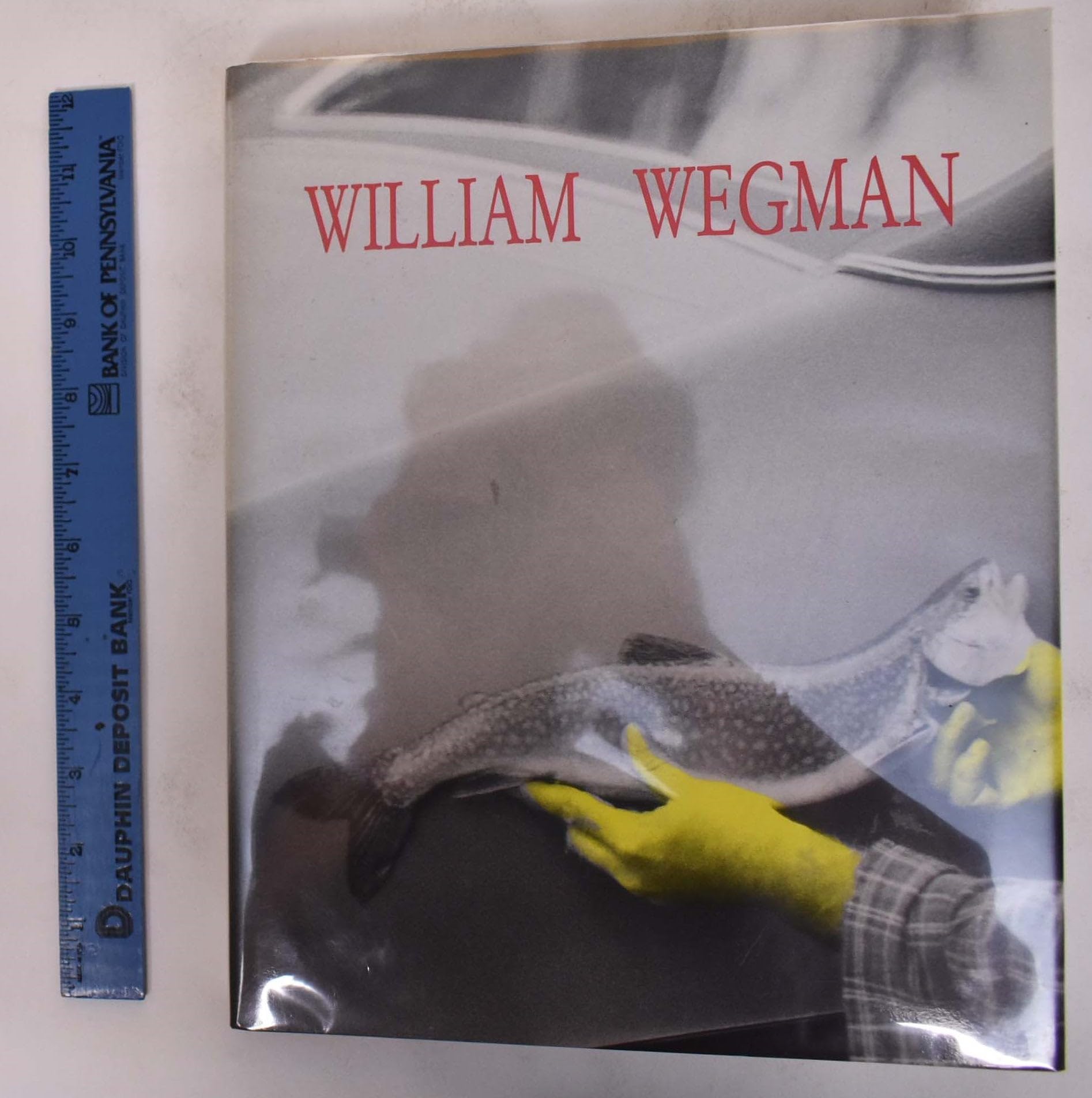 William Wegman: Paintings, Drawings, Photographs, Videotapes Travel