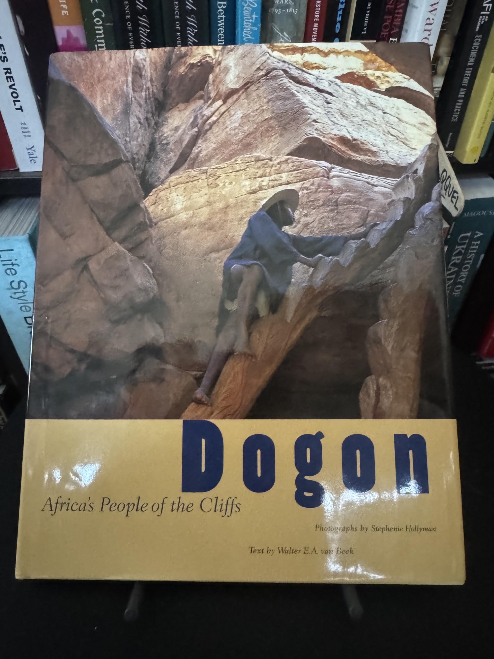 Dogon: Africa's People of the Cliffs book