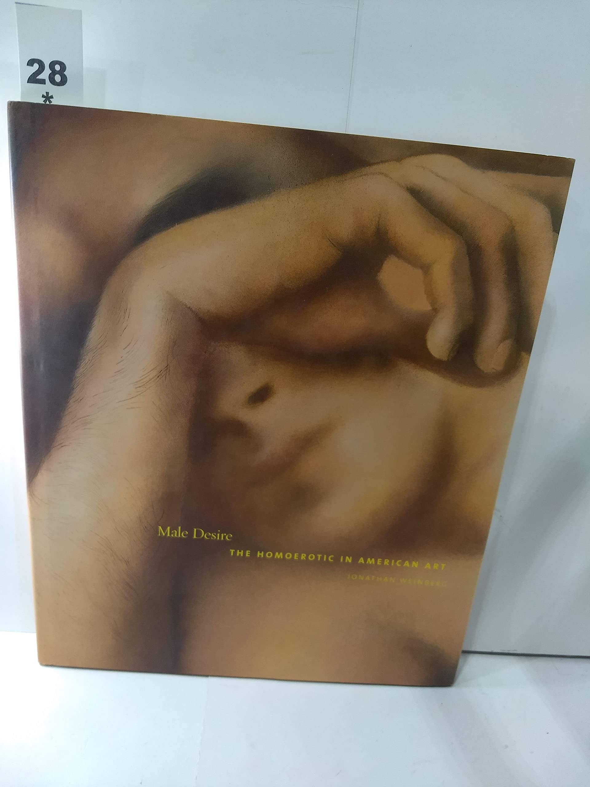 Male Desire: The Homoerotic in American Art Social Sciences