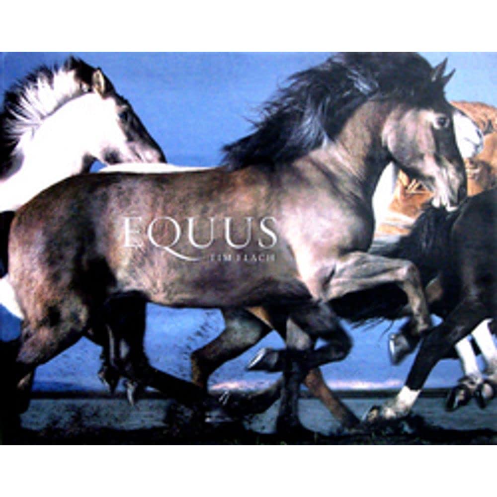 Equus Travel