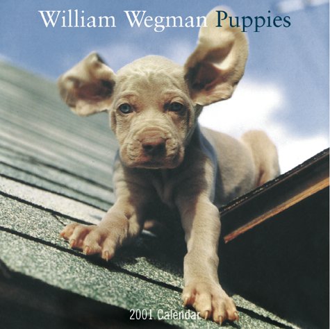 William Wegman Puppies 2001 Calendar Photography