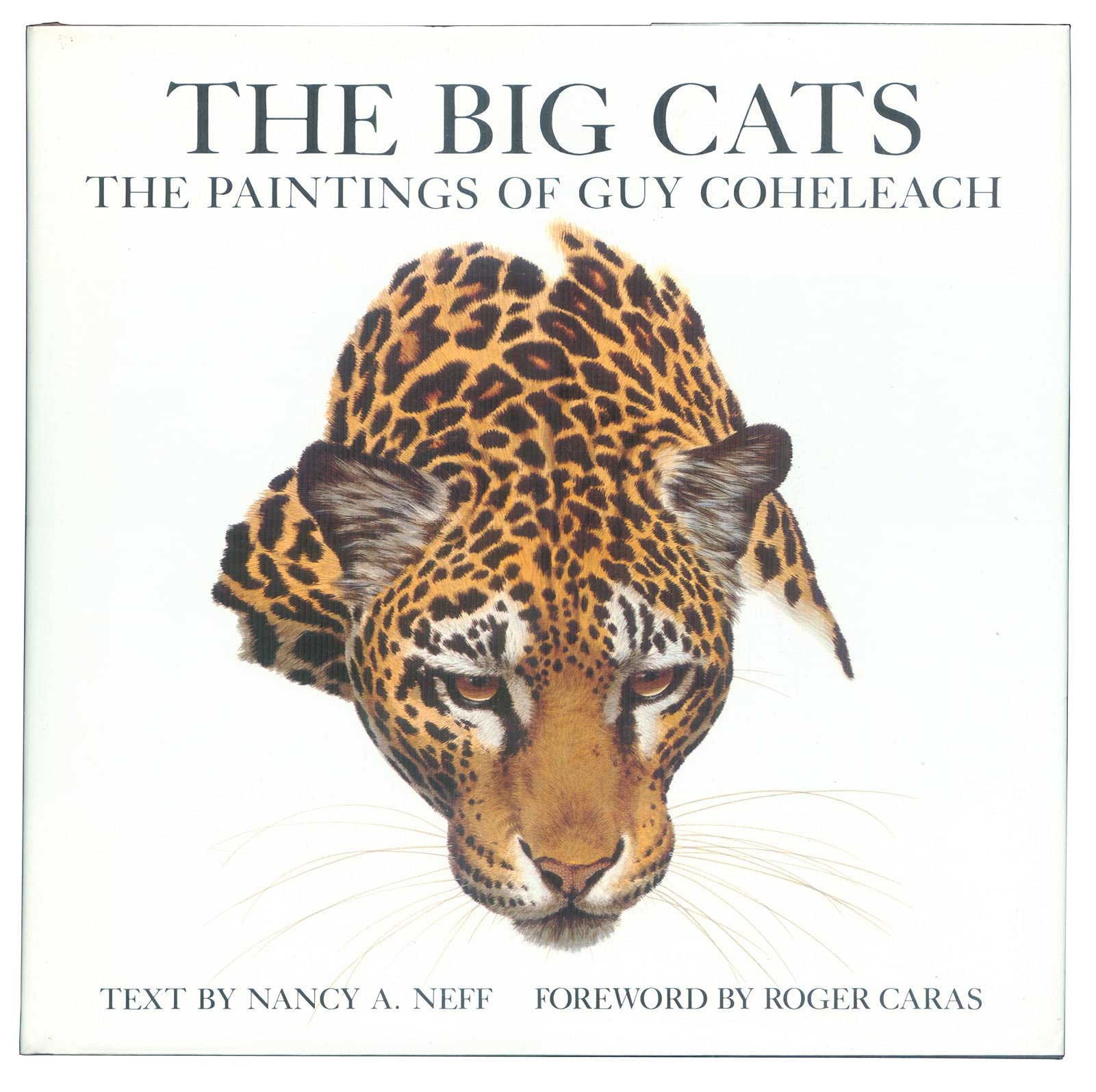 The Big Cats: Paintings of Guy Coheleach Mathematics