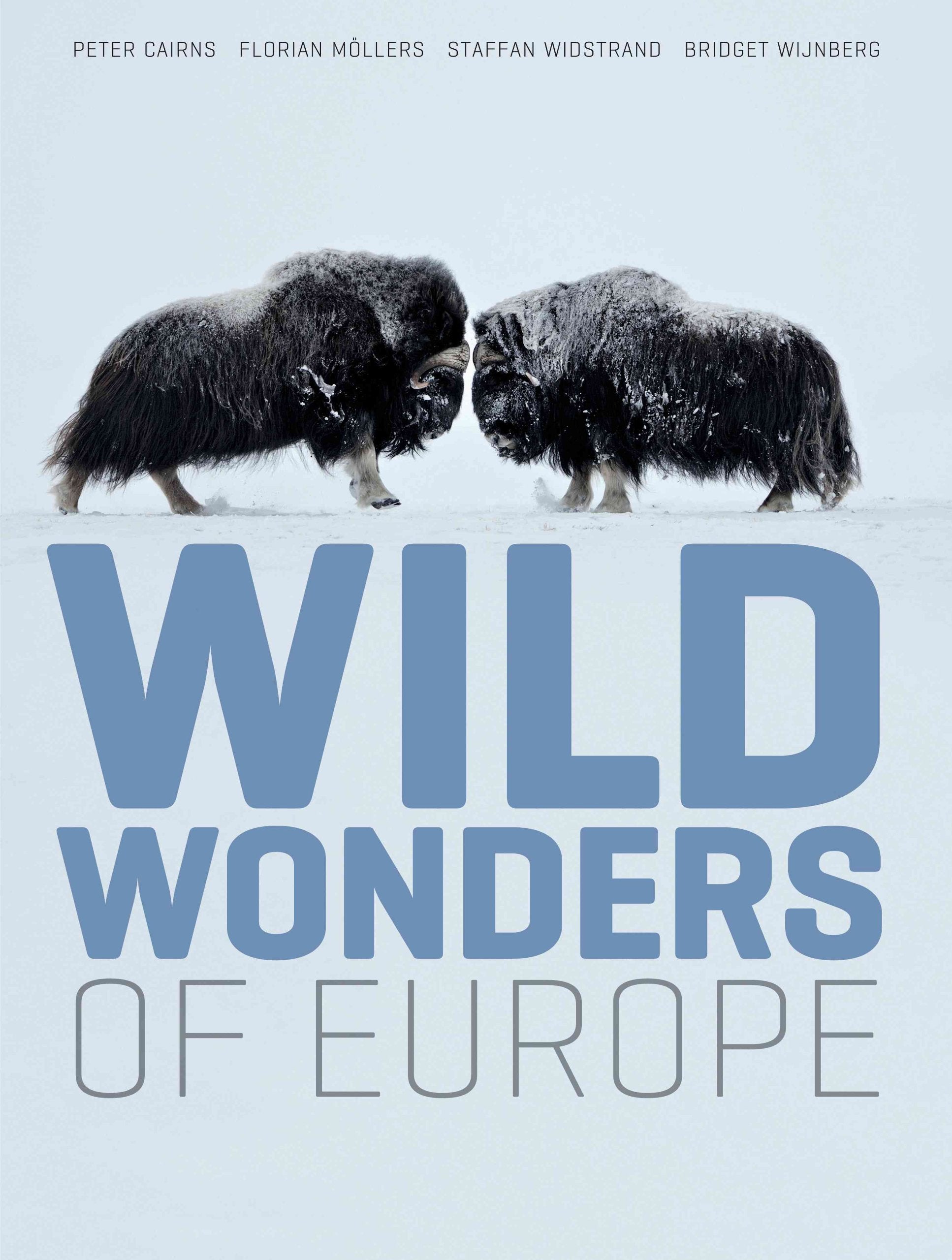 Wild Wonders of Europe Mathematics