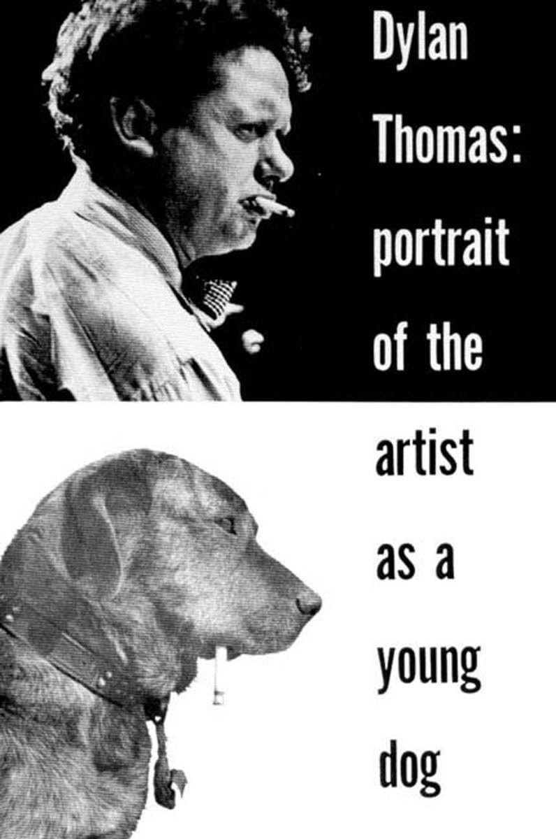Portrait of the Artist as a Young Dog: Stories Contemporary literature