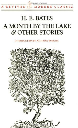 A Month by the Lake & Other Stories Contemporary literature