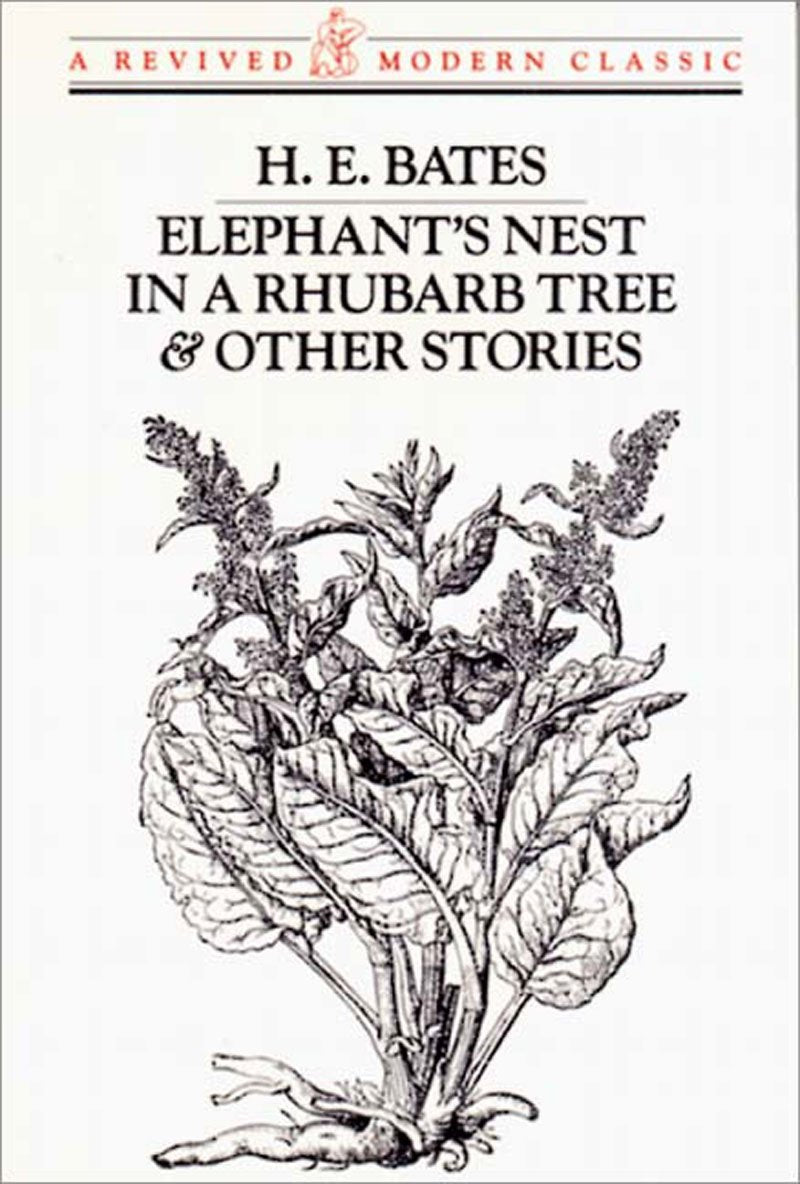 Elephant's Nest in a Rhubarb Tree and Other Stories (Revived Modern Classic) Contemporary literature