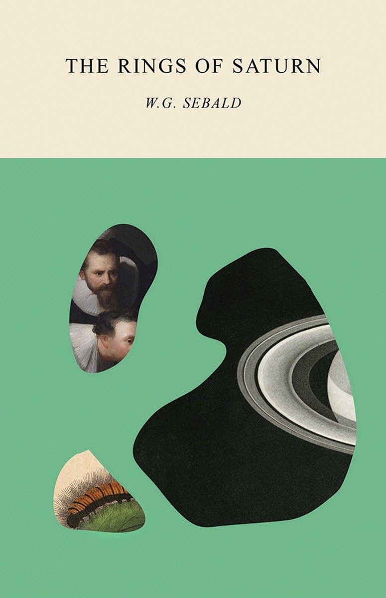 The Rings of Saturn book