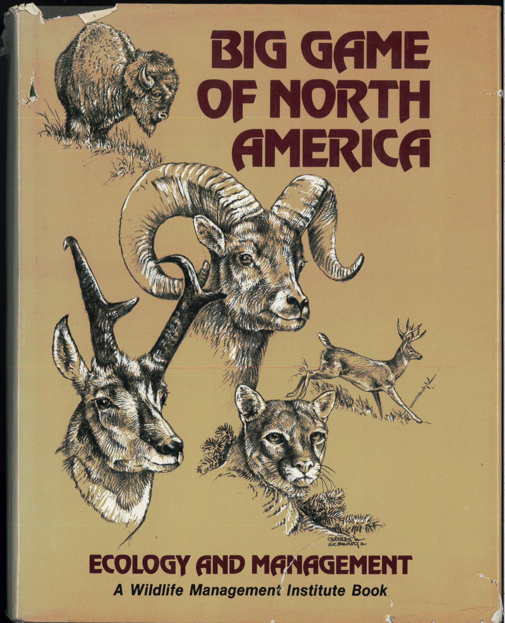 Big Game of North America Mathematics