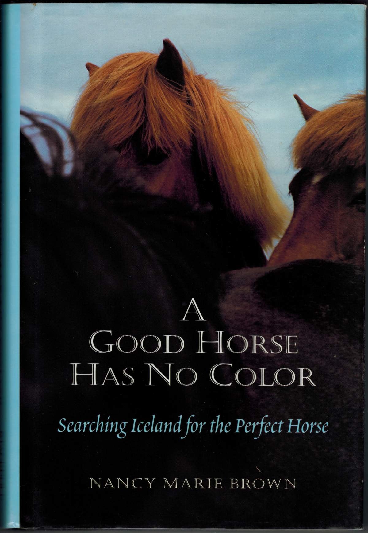 A Good Horse Has No Color: Searching Iceland for the Perfect Horse Pets