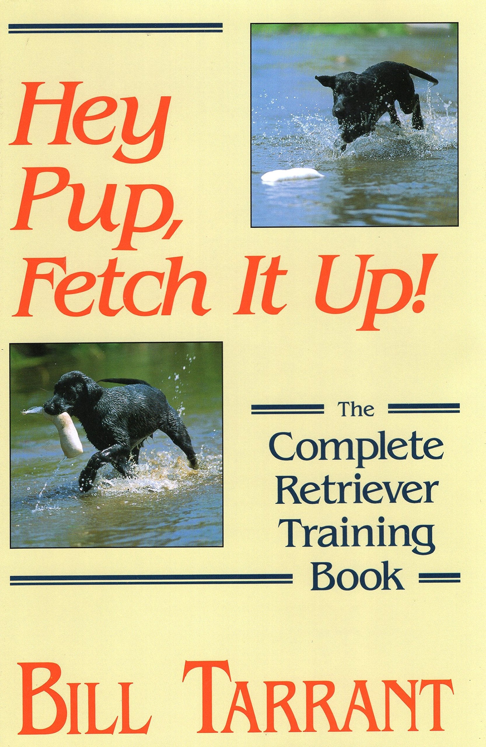 Hey Pup, Fetch It Up!: The Complete Retriever Training Book Mathematics