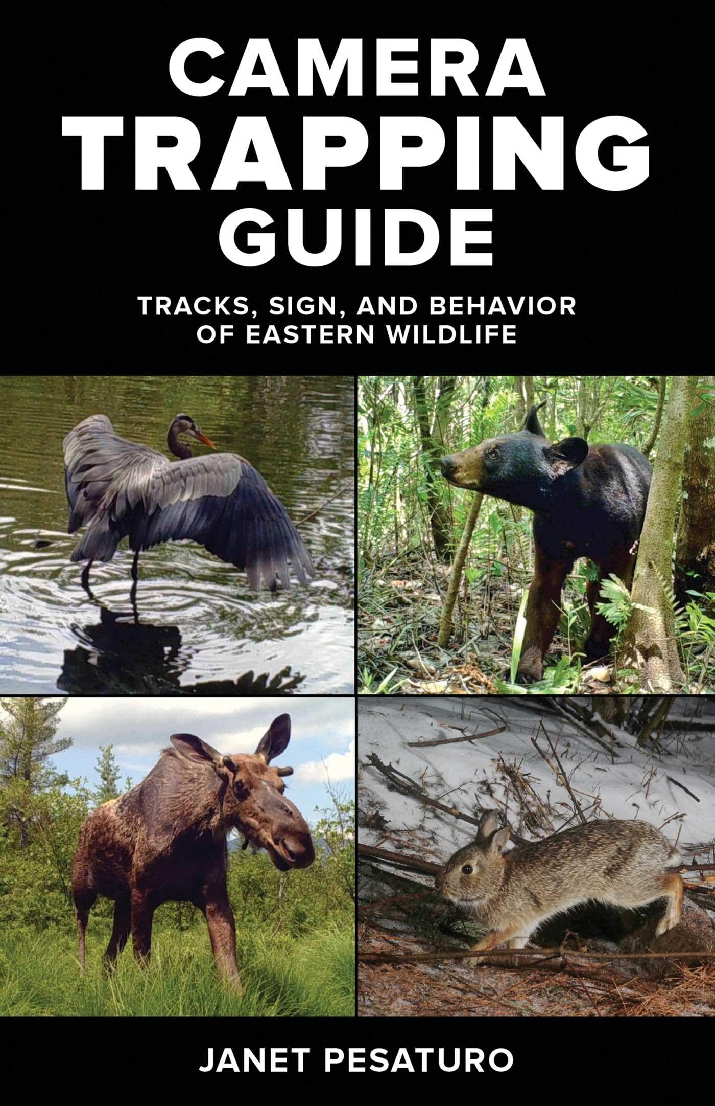 Camera Trapping Guide: Tracks, Sign, and Behavior of Eastern Wildlife Mathematics