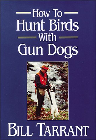 How to Hunt Birds With Gun Dogs Leisure & Fun