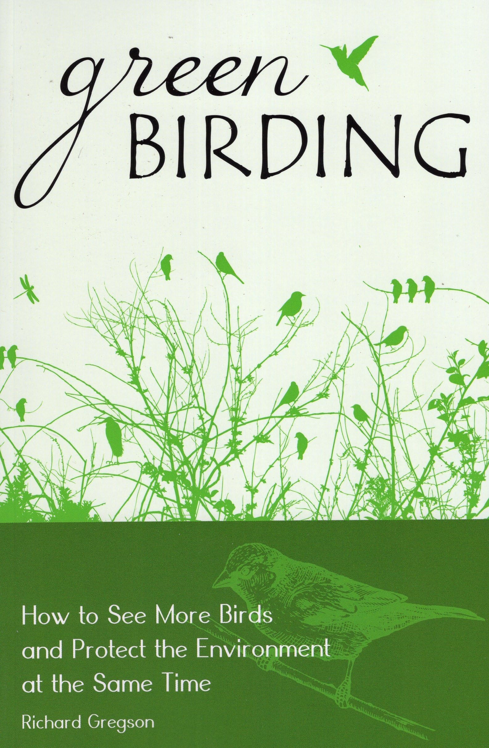 Green Birding: How to See More Birds and Protect the Environment at the Same Time Mathematics