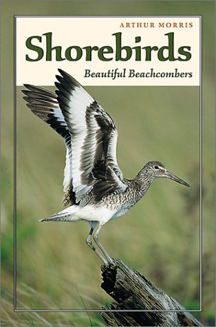 Product Image: Shorebirds: Beautiful Beachcombers
