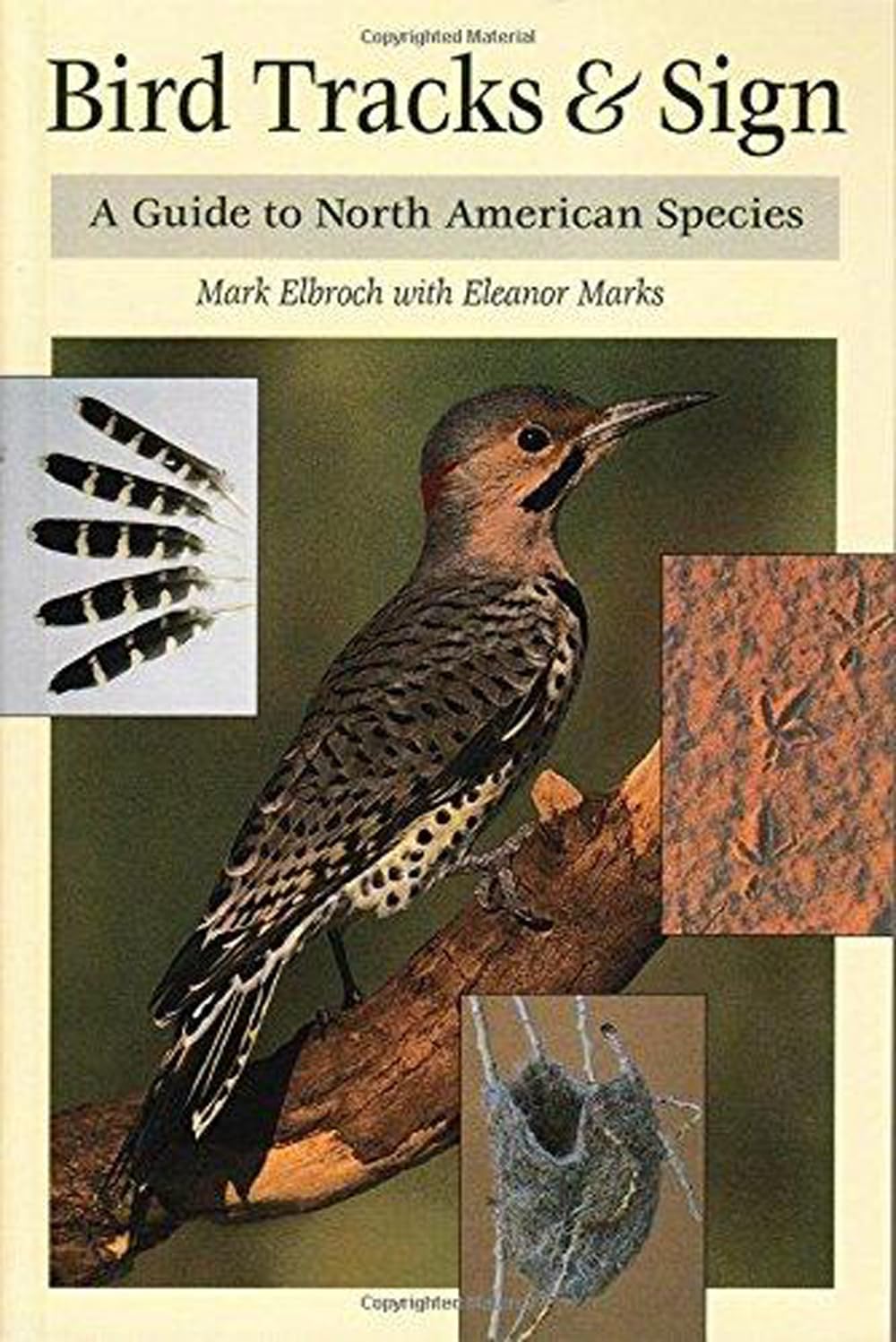 Bird Tracks & Sign: A Guide to North American Species Mathematics