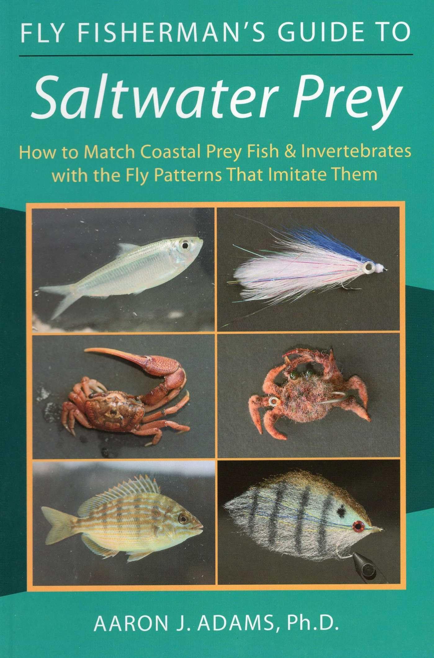 Fly Fisherman's Guide to Saltwater Prey: How to Match Coastal Prey Fish & Invertebrates with the Fly Patterns That Imitate Them Leisure & Fun