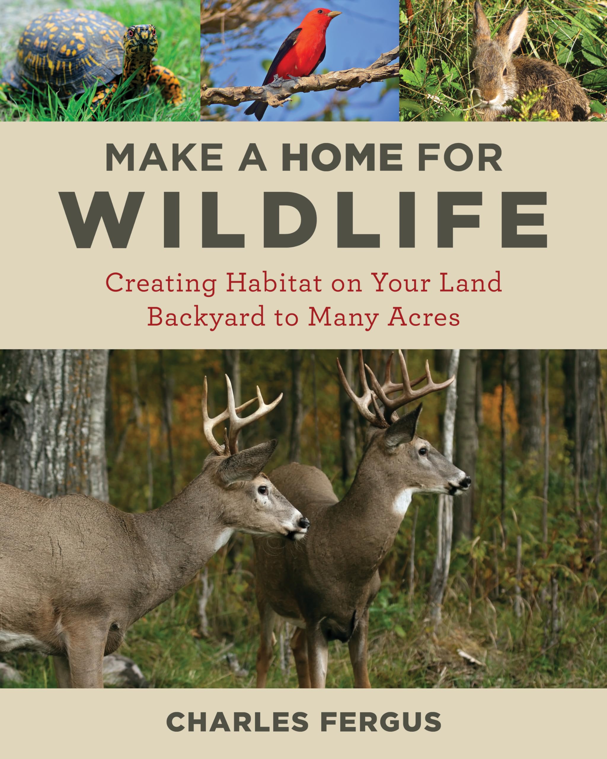 Make a Home for Wildlife: Creating Habitat on Your Land Backyard to Many Acres Geology & Geography