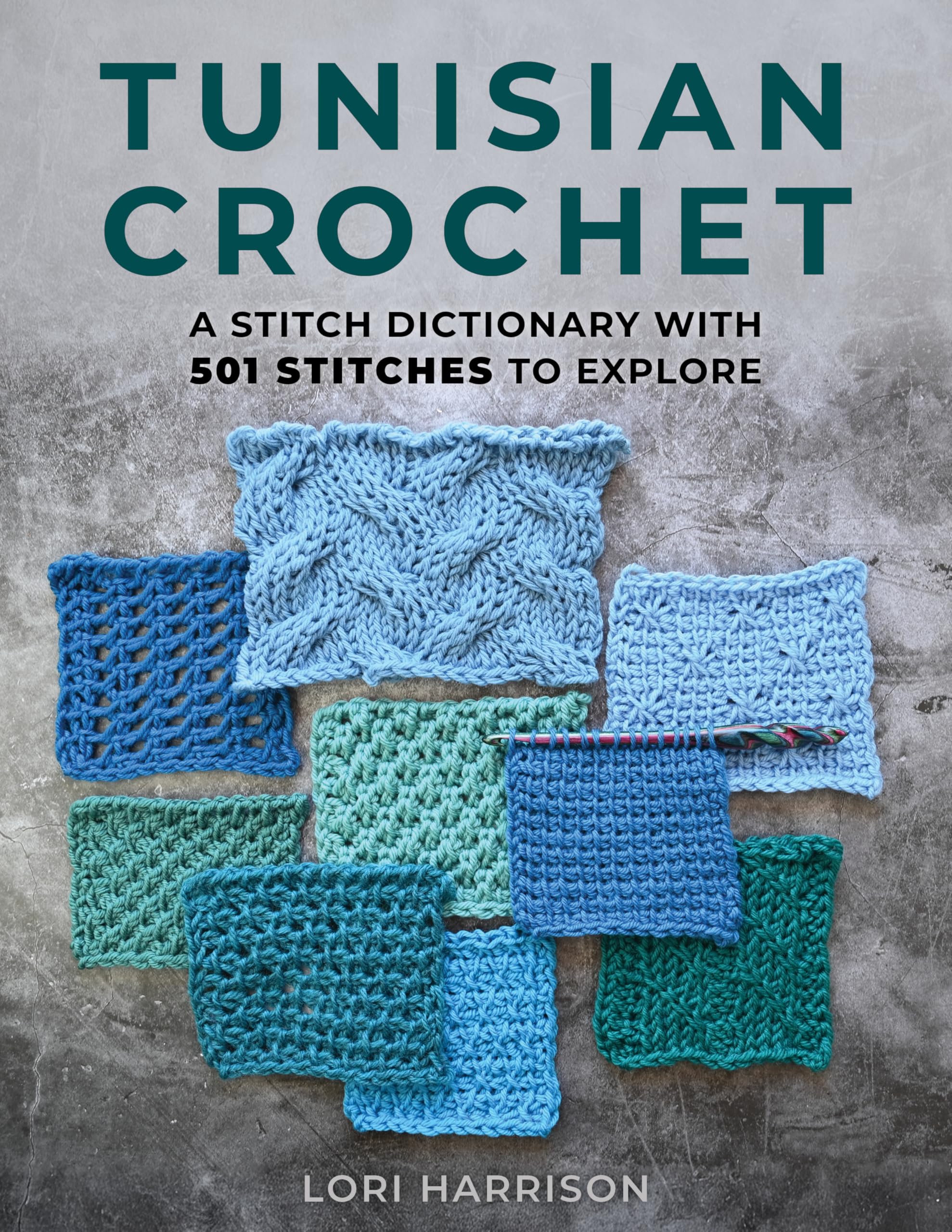 Tunisian Crochet: A Stitch Dictionary with 501 Stitches to Explore Hobbies & Crafts