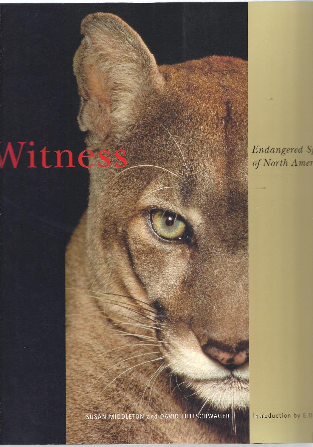 Witness: Endangered Species of North America Mathematics