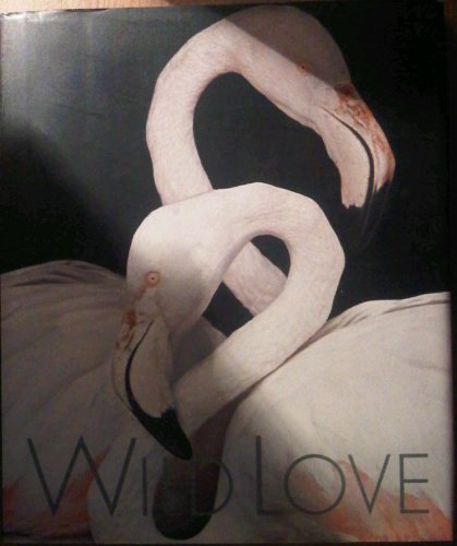 Wild Love Contemporary literature Books