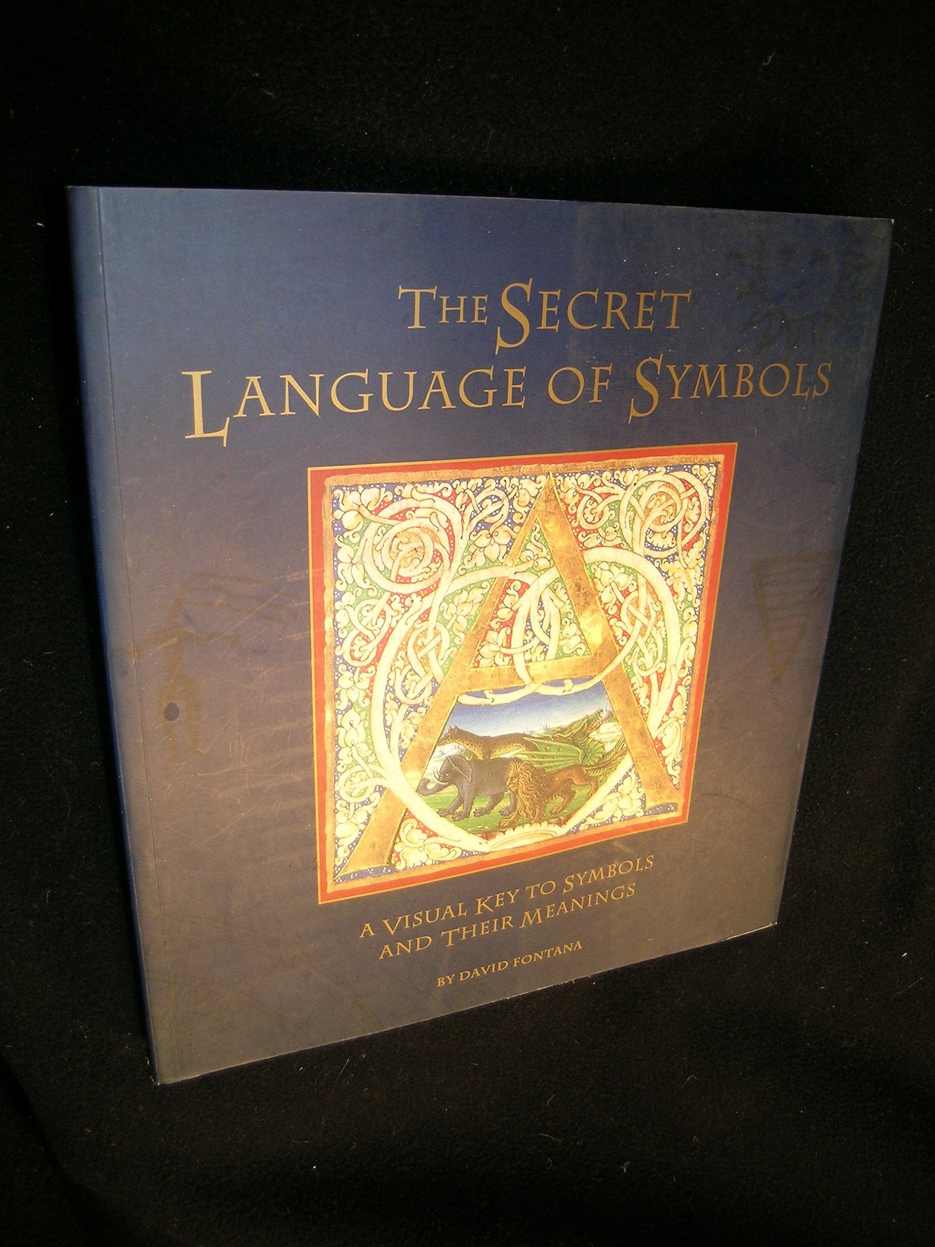 The Secret Language of Symbols: A Visual Key to Symbols Their Meanings Social Sciences
