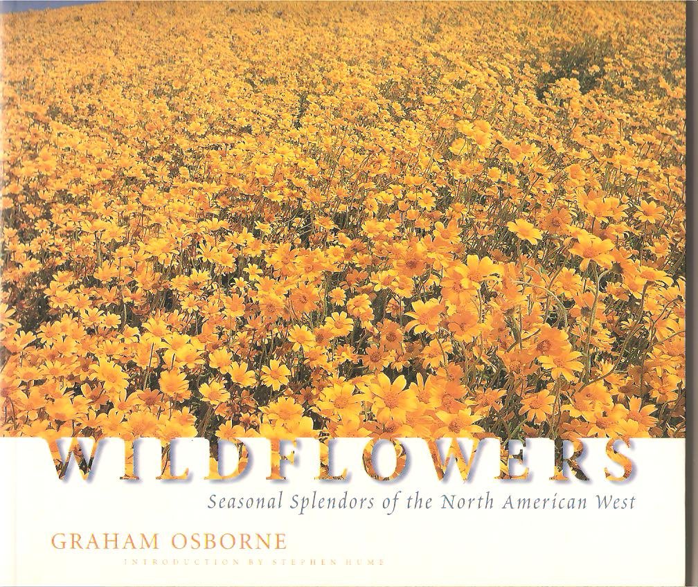 Wildflowers: Seasonal Splendors of the North American West Mathematics