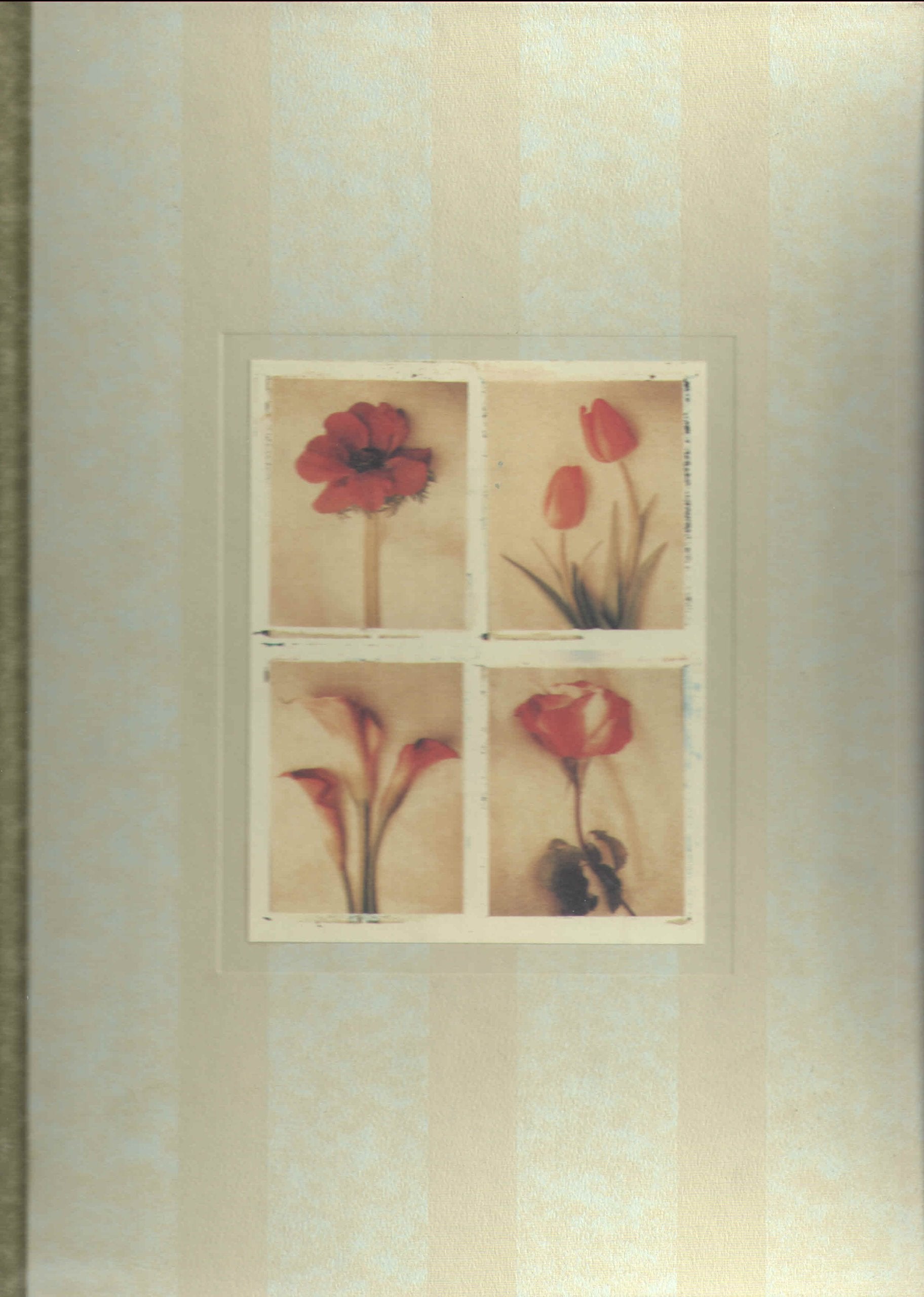 Floral Photo Album Books
