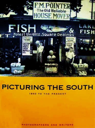 Picturing the South: 1860 To the Present General education