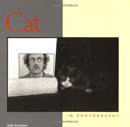 The Cat in Photography Photography
