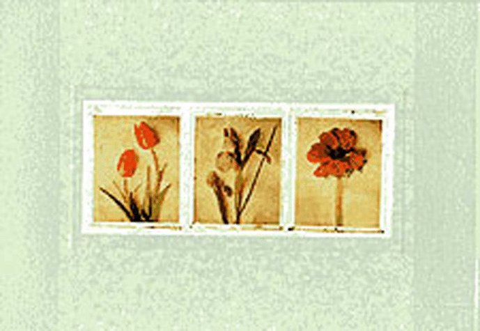 Deborah Schenck Writing Box: Includes 30 Stationery Sheets, 30 Envelopes, 10 Postcards, 5 Pencils, and a 35-Page Notepad Books