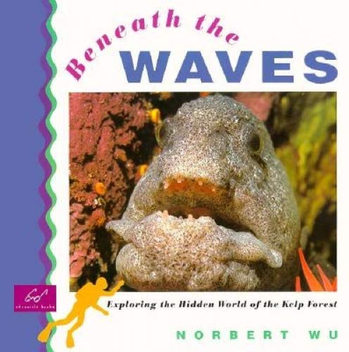 Beneath the Waves: Exploring the Hidden World of the Kelp Forest Mathematics