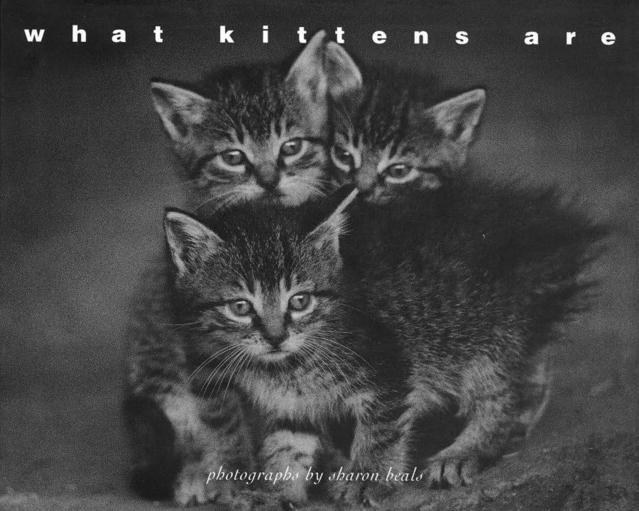 What Kittens Are: Photographs Travel