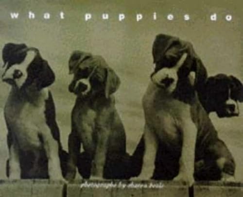 What Puppies Do Deluxe Notecards: 20 Assorted Notecards and Envelopes Books
