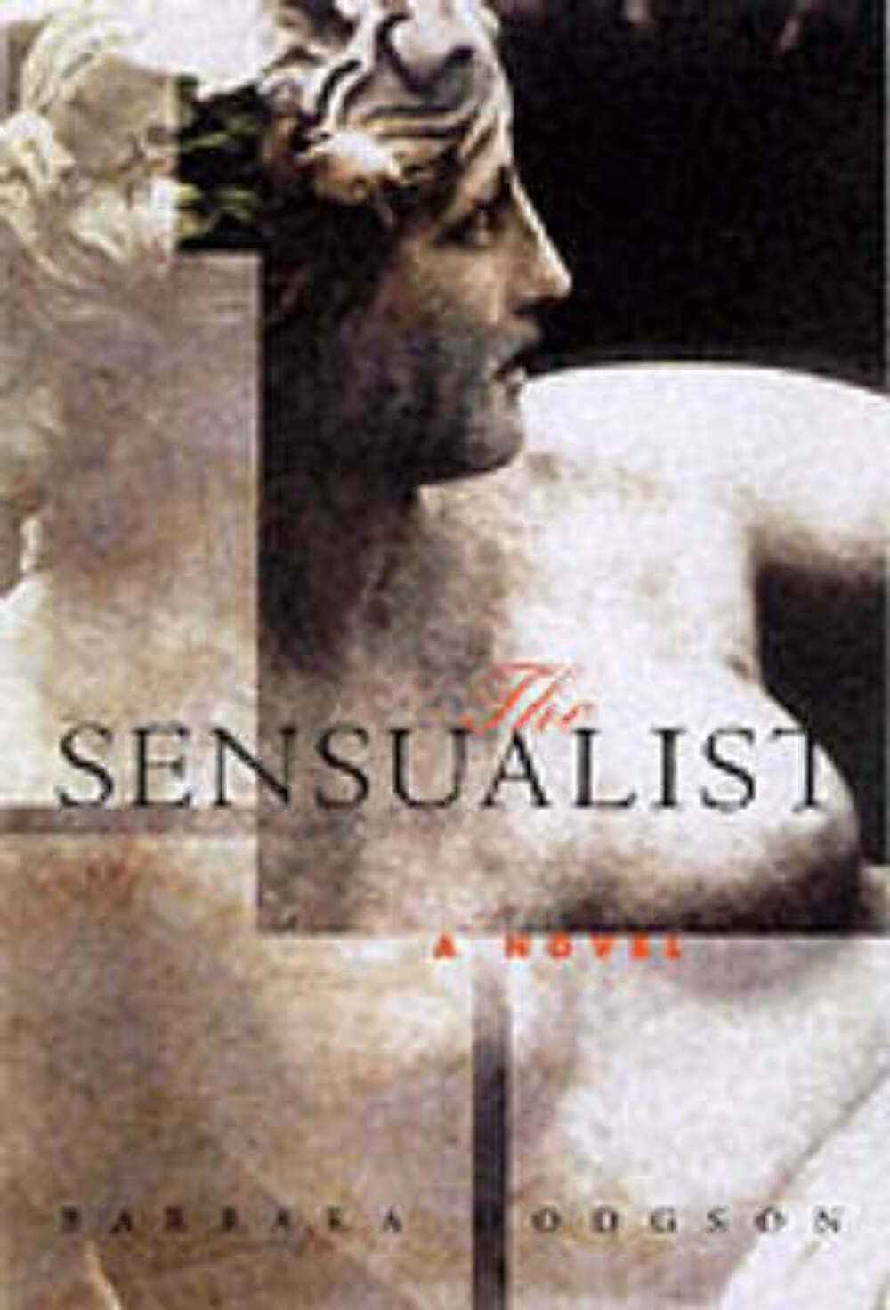The Sensualist: An Illustrated Novel Contemporary literature