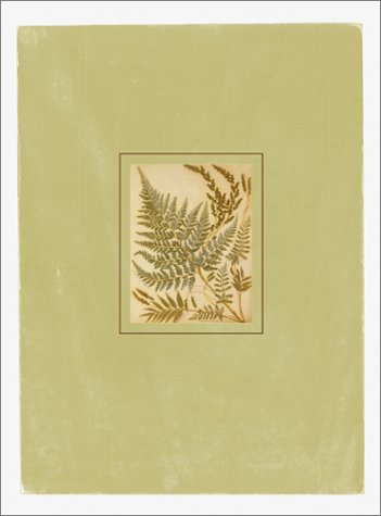 Ferns Postal Cards: 24 Postal Cards: 24 Postar Cards & Envelopes Leisure, Home & Garden