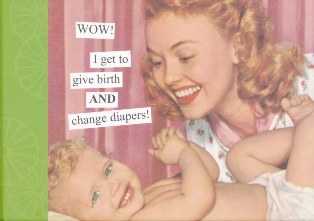 Wow! I Get to Give Birth and Change Diapers Photo Album: Photographs (Anne Taintor) Photography