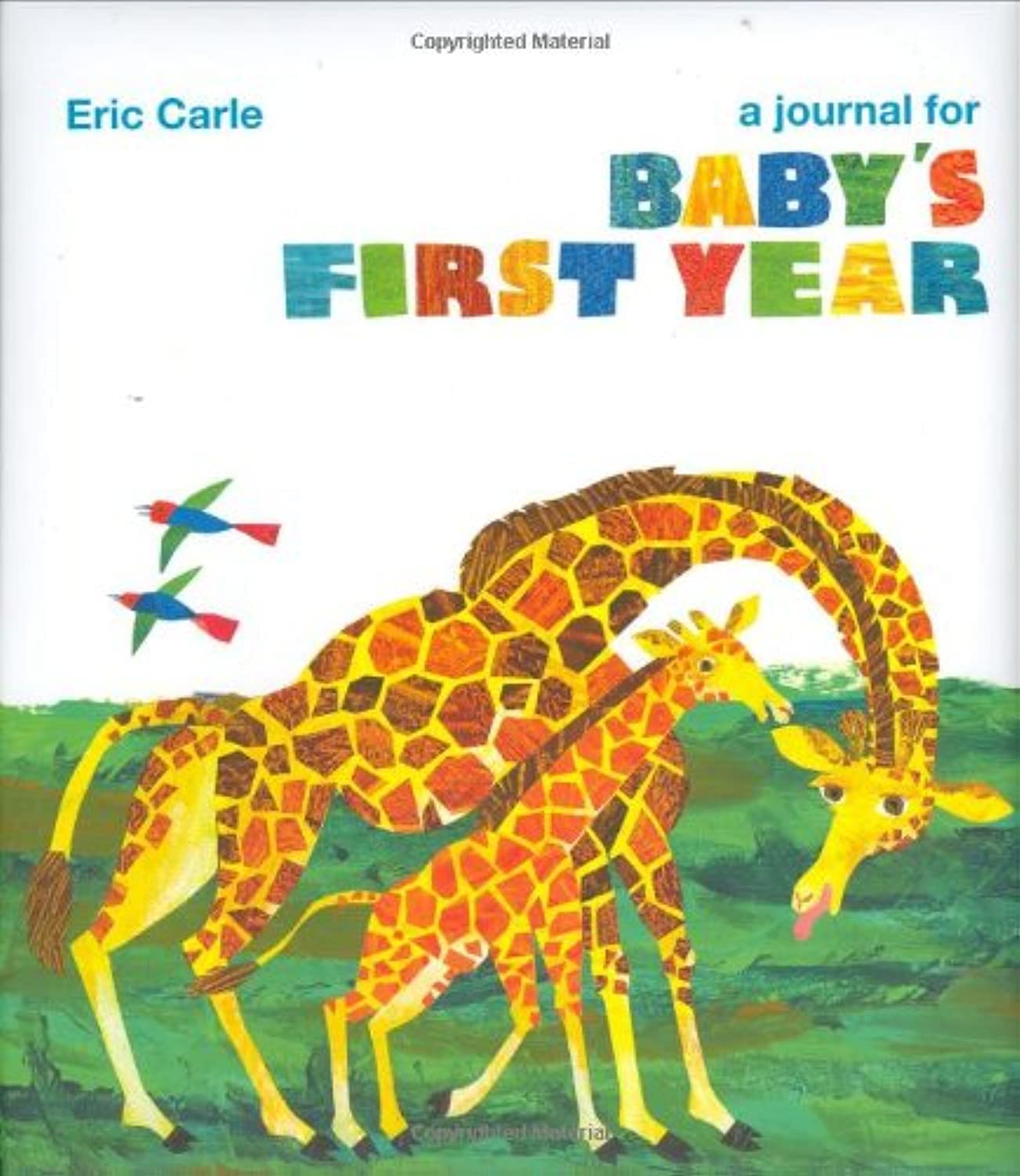 The World of Eric Carle(TM) A Journal for Baby's First Year book
