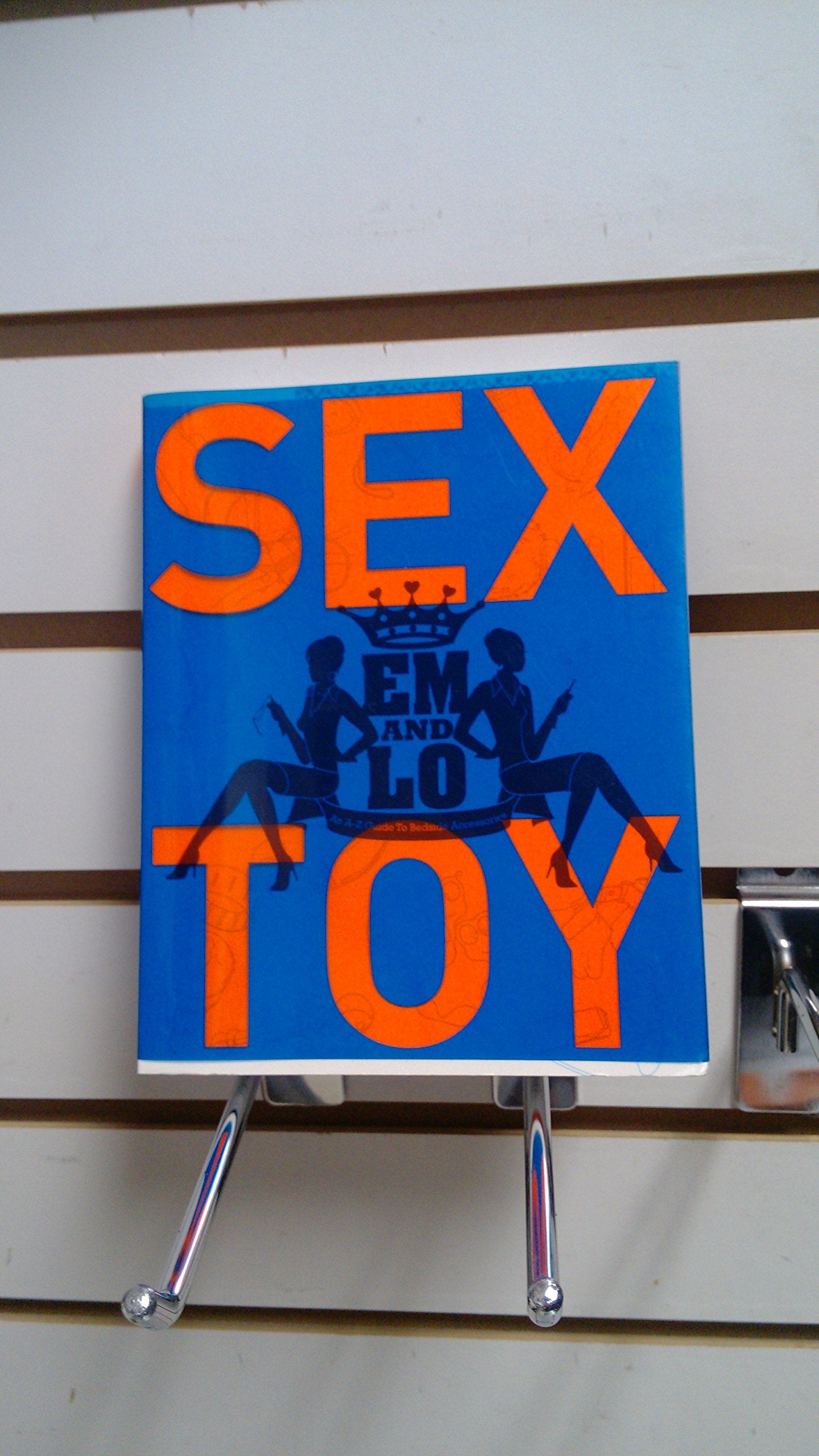 Em & Lo's Sex Toy: An A-Z Guide to Bedside Accessories book